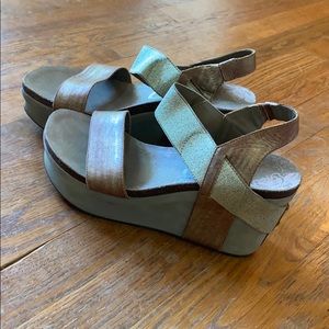 Off The Beaten Trail (OTBT) Wedges